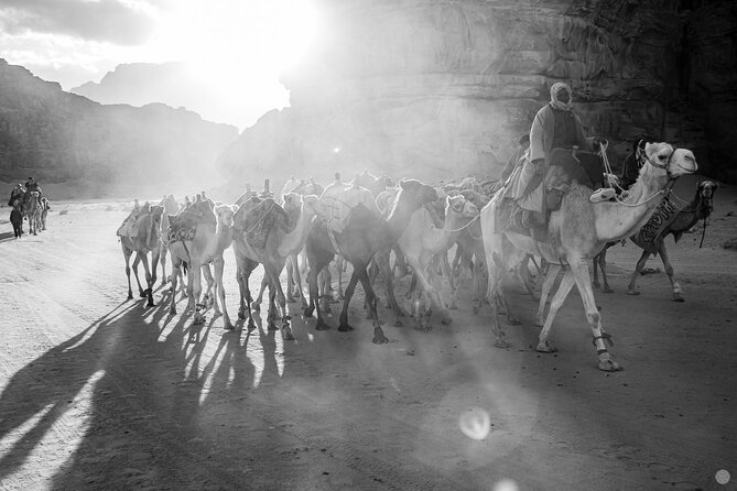 02 Days Petra , Wadi Rum and Dead Sea from Amman - What the private driver changes