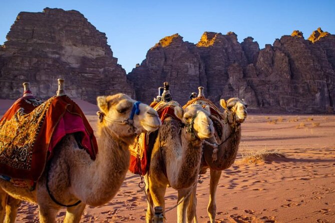 07 days and 06 nights Jordan Jewels - A seven-day route through Jordan’s biggest contrasts