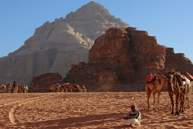 2-Day Private Tour in Jordan - Deluxe Tent - The drive from Amman to Petra