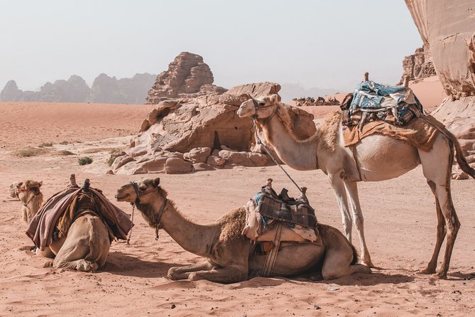 2 Days Tour | Petra, Wadi Rum & Dead Sea | Accommodation included - Private transport and the long road sections