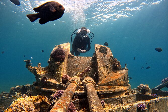 2-Hour Private Scuba Experience in Aqaba - Walking from the beach into the Red Sea