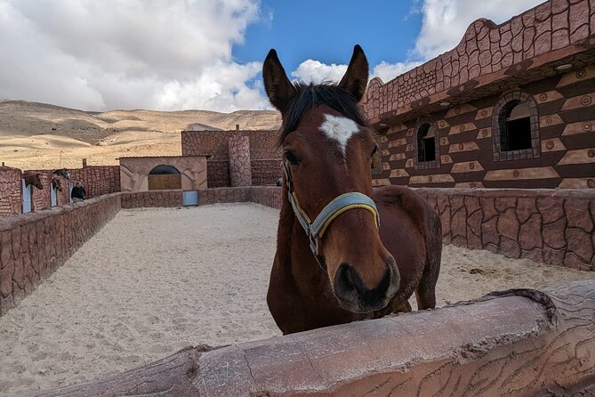 2 Hour Trail Ride to Little Petra-Morning or Sunset - Seeing Nabatean water channels and ancient steps