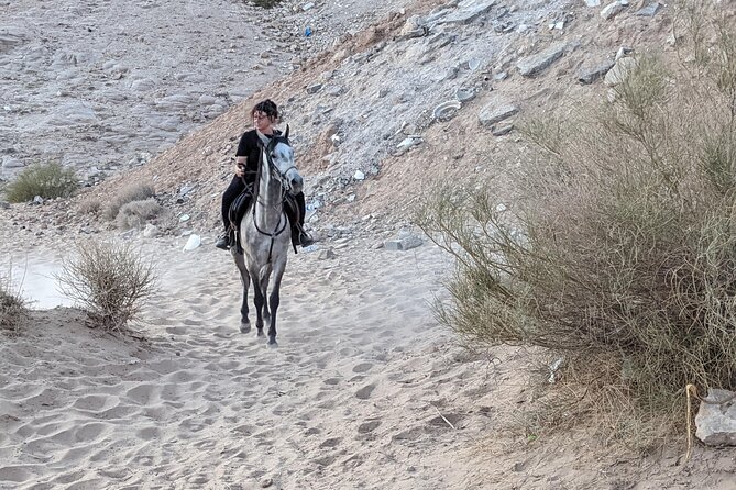 2 Hour Trail Ride to Little Petra-Morning or Sunset - The horses and the stable’s Bedouin tradition