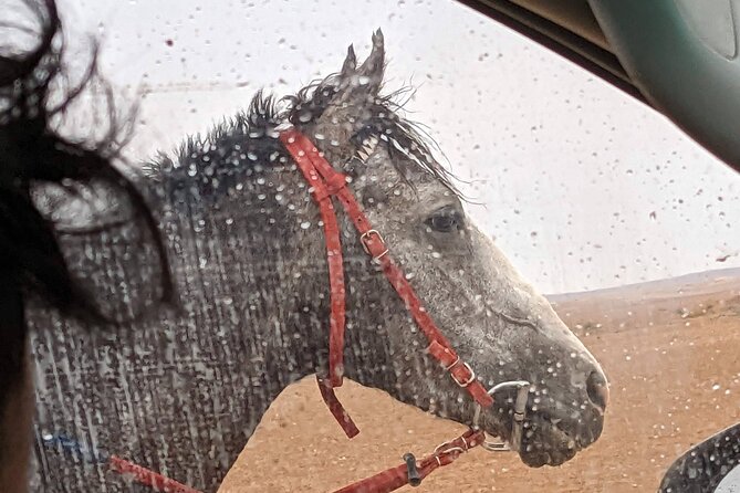 2 Hour Trail Ride to Little Petra-Morning or Sunset - Morning or sunset: choosing the right departure