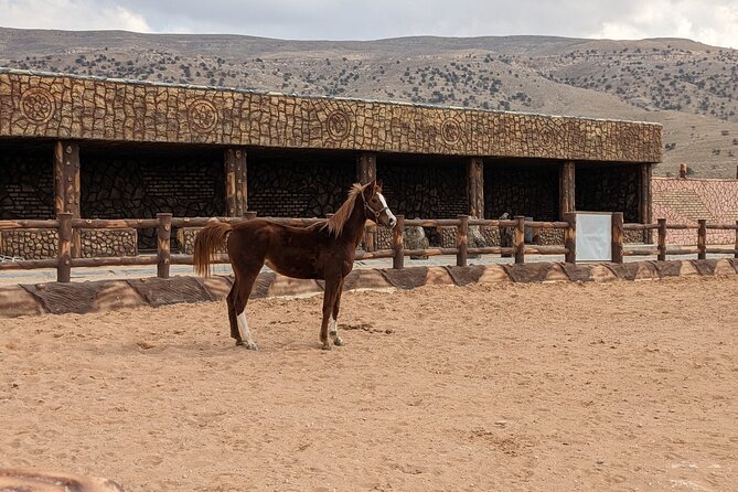 2 Hour Trail Ride to Little Petra-Morning or Sunset - Crossing the road and approaching Little Petra
