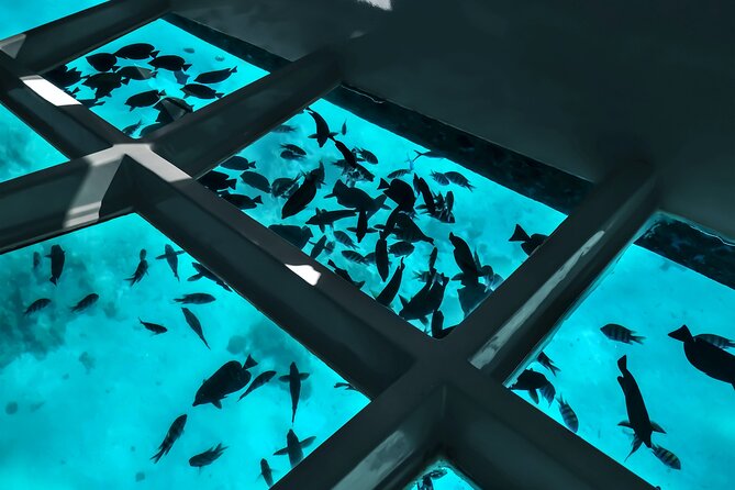 2 To 5 Hours Glass Bottom Boat Private Tour At Read Sea - Seeing the Red Sea through the glass-bottom hull