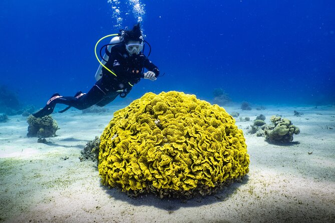2 To 5 Hours Glass Bottom Boat Private Tour At Read Sea - What the longer tour includes on land