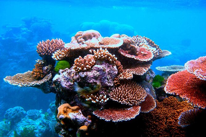 2 To 5 Hours Glass Bottom Boat Private Tour At Read Sea - Aqaba’s coral, fish, and underwater wrecks