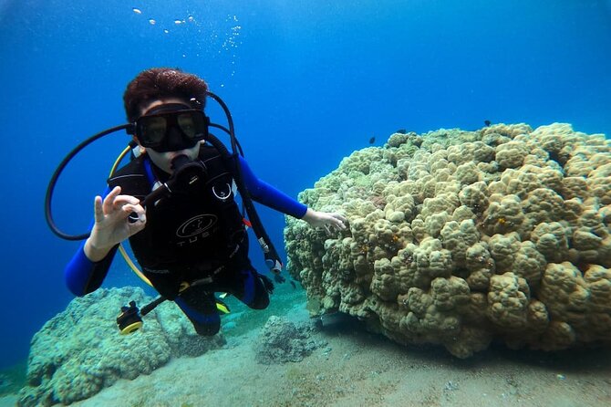 3-Day Open Water Scuba Diving Course in Aqaba - Day one: theory and the first confined-water skills