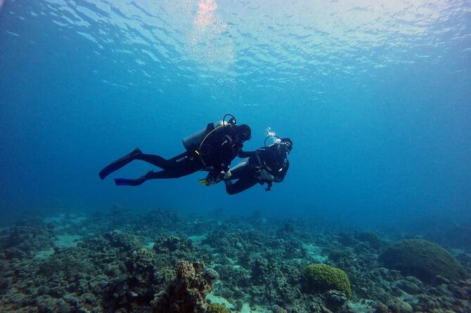 3-Day Open Water Scuba Diving Course in Aqaba - Instructors who focus on calm, clear teaching