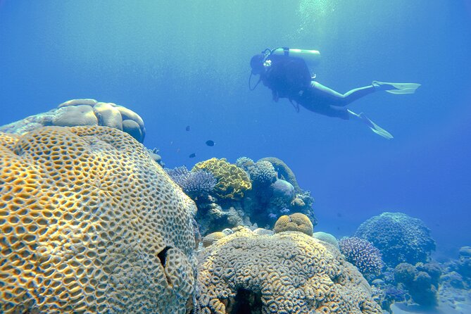 3-Day Open Water Scuba Diving Course in Aqaba - Who should choose this Aqaba course