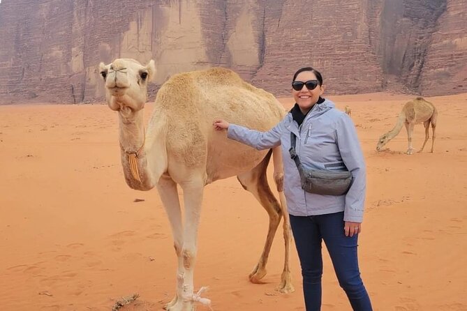 3-Day Tour from Amman: Jerash, Ajloun, Petra, Wadi Rum & Dead SEA - Who will get the most from this Jordan tour?