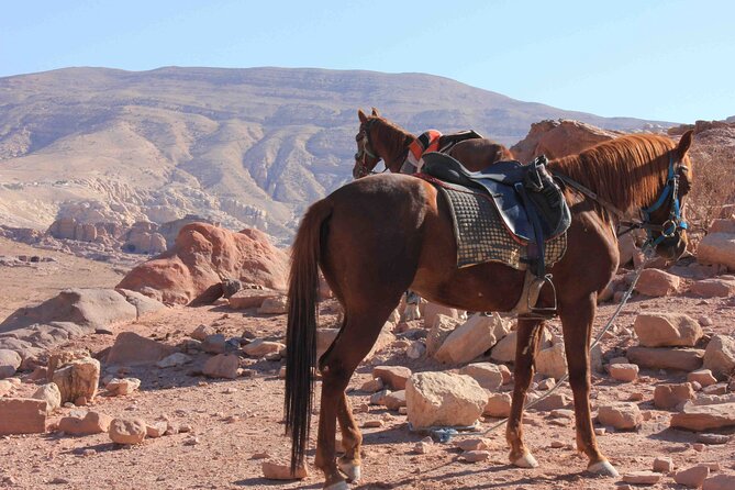 3 Hour Horse Riding Adventure around the Petra Area - Starting at Little Petra Instead of Petra’s Main Gate