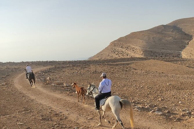 3 Hour Horse Riding Adventure around the Petra Area - Siq Al Barid and a Light Mountain Stop