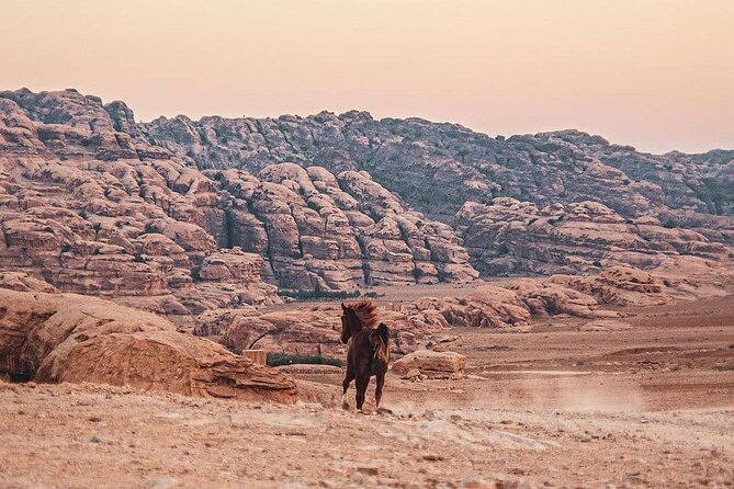 3 Hour Horse Riding Adventure around the Petra Area - Horses, Guides, and the Safety Question