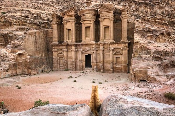 3Days Tour Petra & Wadi Rum from Amman, Dead Sea OR Amman Airport - Day two: Wadi Rum by 4WD