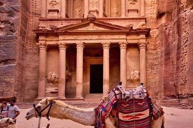 3Days Tour Petra & Wadi Rum from Amman, Dead Sea OR Amman Airport - Transport, group size, and the role of the driver