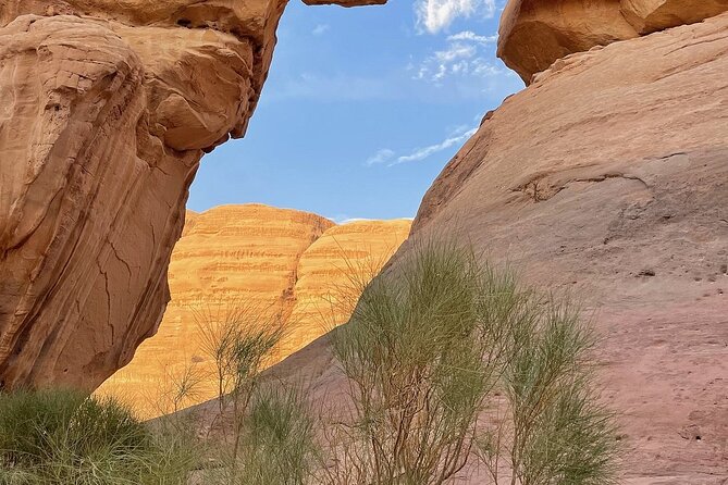4 Hour Jeep Tour Wadi Rum Desert Highlights (morning or sunset) - Lawrence Spring, where camels gather