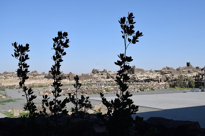 5-Desert Castles of Jordan Full-Day Private Tour from Amman - Qasr al-Hallabat: Roman foundations and a mosque