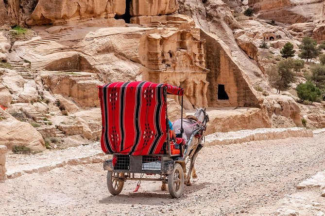 6-Days 5-Night: Jordan in Brief Tour - Day six: an easy airport transfer home
