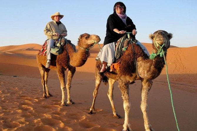 7-Day Private Tour, Explore Jordan's Glamour - Eastern Jordan’s three desert castles