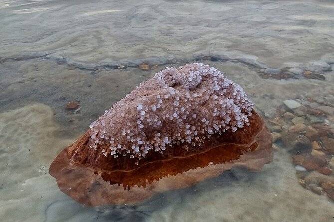 7-Day Private Tour in Jordan: The Treasures Map - Day 6: Aqaba, the Jordan Valley, and the Dead Sea