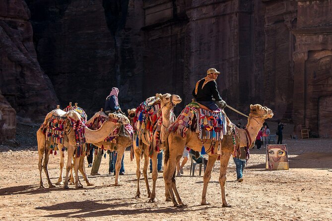 7 Days Jordan Sightseeing Tour - Key points at a glance