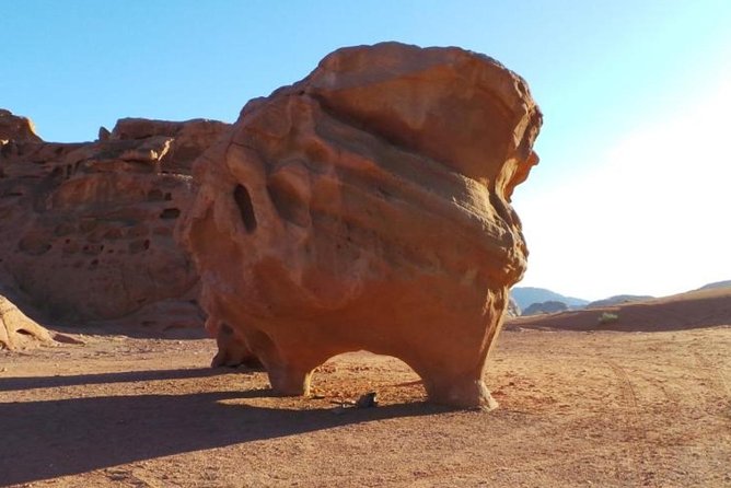8-Day Private Tour, Jordan's Ability - Customizable - Kerak brings Crusader history into the route