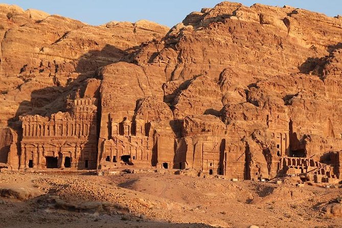 A Full Day Trip To Petra From Amman - The driver can shape the whole day