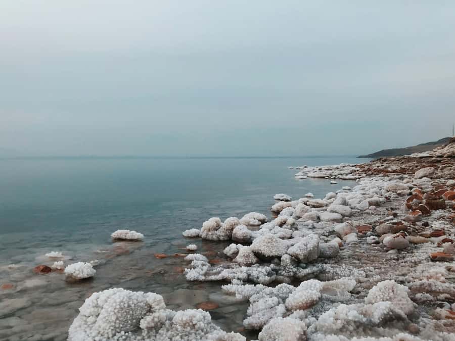 Amman: Ma'in Hot Springs and Dead Sea Day Trip - Floating at the Dead Sea for three hours