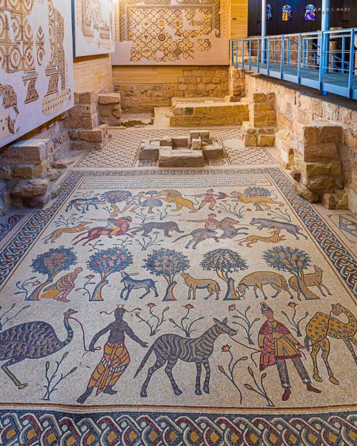 Amman: Private Half-Day Tour to Madaba & Mount Nebo - What the private format really gives you