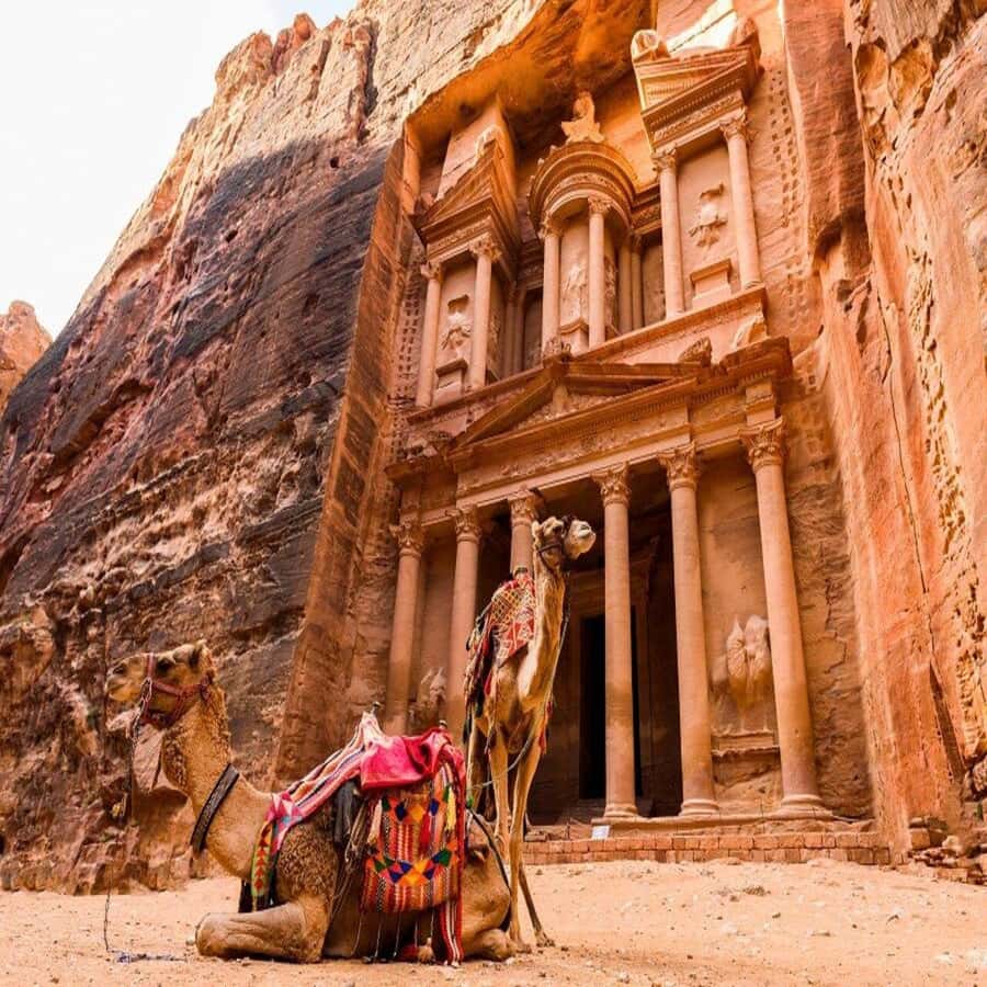 Amman Private Tour Petra Wadi Rum And Dead Sea 2day Bubble - The two-hour Wadi Rum jeep trip