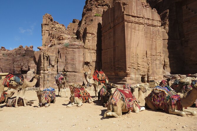 Amman to Petra round trip - Following the main route for five hours