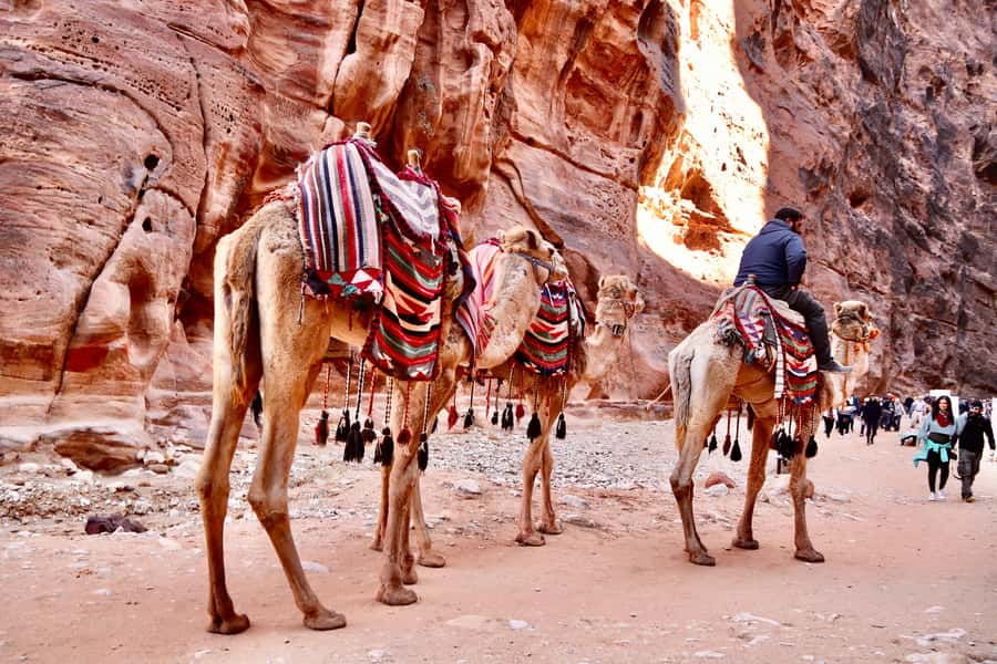 Amman to Petra Wadi Rum Dead Sea 2 or 3 Days Private Tour - What the private vehicle and driver add