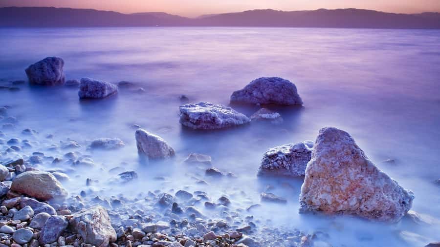 Amman to Petra Wadi Rum Dead Sea 2 or 3 Days Private Tour - Premium and Essential options: check the fine print