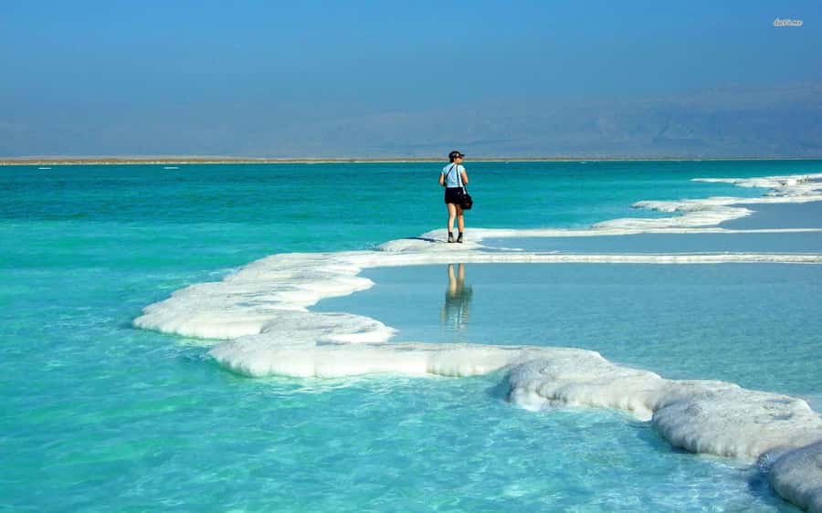 Amman to Petra Wadi Rum Dead Sea 2 or 3 Days Private Tour - Who will get the most from this Jordan trip