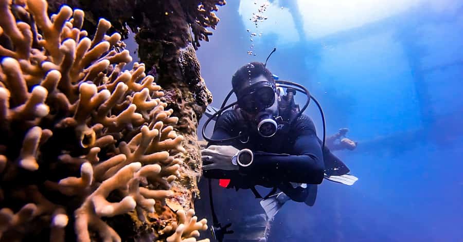 Aqaba Dive Adventure: Explore The Red Sea On A Tour - The first 20 minutes: learning to breathe underwater