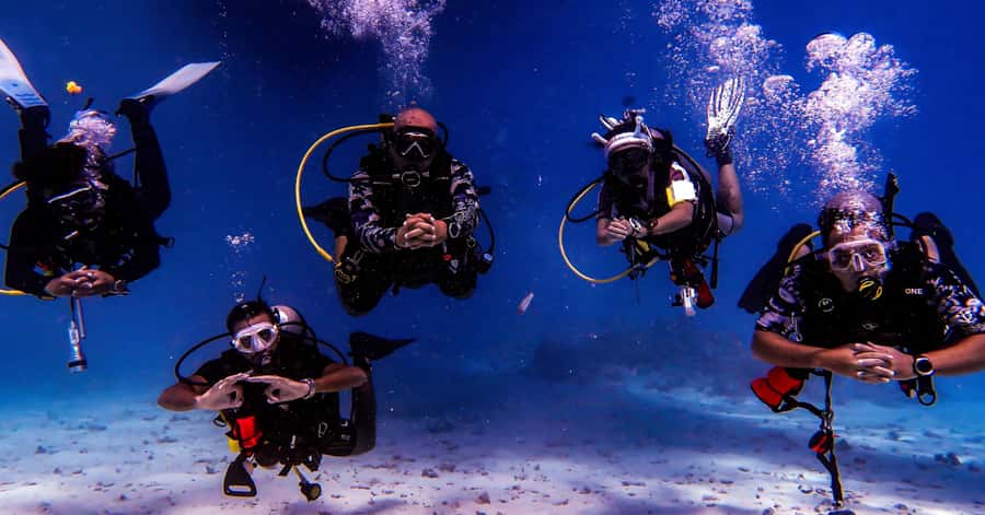 Aqaba Dive Adventure: Explore The Red Sea On A Tour - Why the private format matters