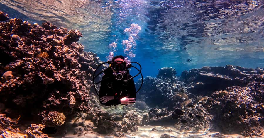 Aqaba Dive Adventure: Explore The Red Sea On A Tour - Should you book the South Beach session?