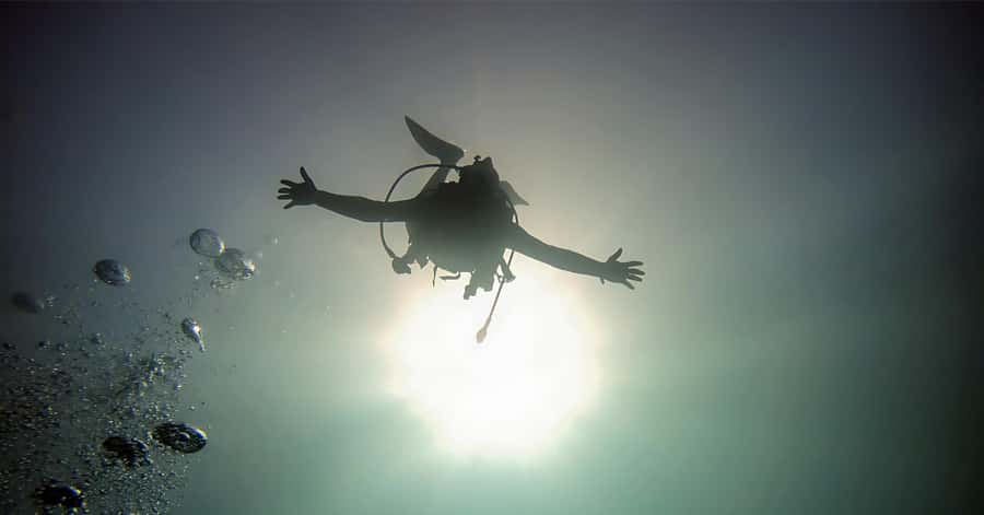Aqaba Dive Adventure: Explore The Red Sea On A Tour - About 45 minutes below South Beach