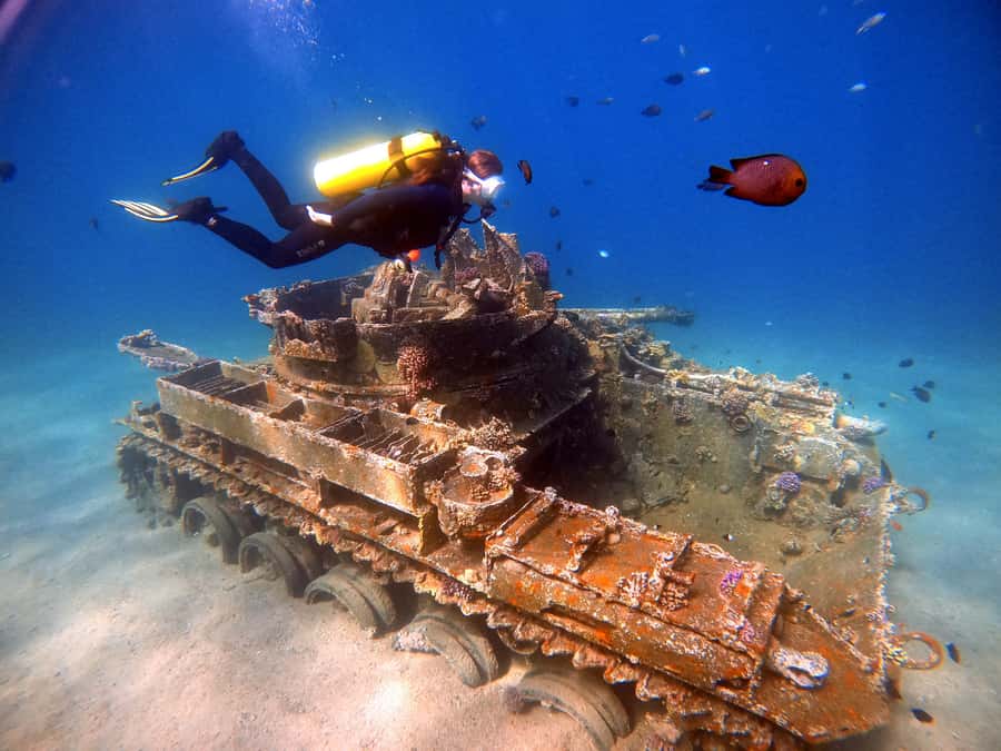 Aqaba: Private Red Sea Diving for Beginner or Experienced - Key points to know before you book