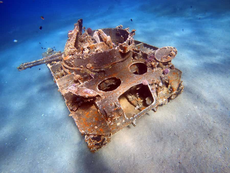 Aqaba: Private Red Sea Diving for Beginner or Experienced - Entering from Aqaba’s beach