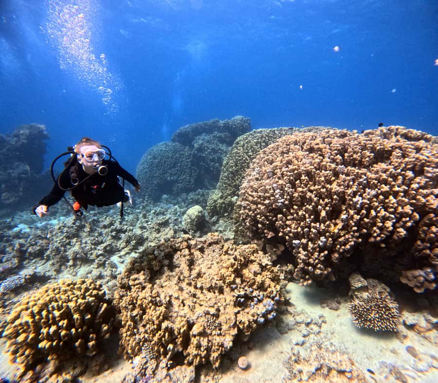 Aqaba: Private Red Sea Diving for Beginner or Experienced - The instructors are the heart of the experience