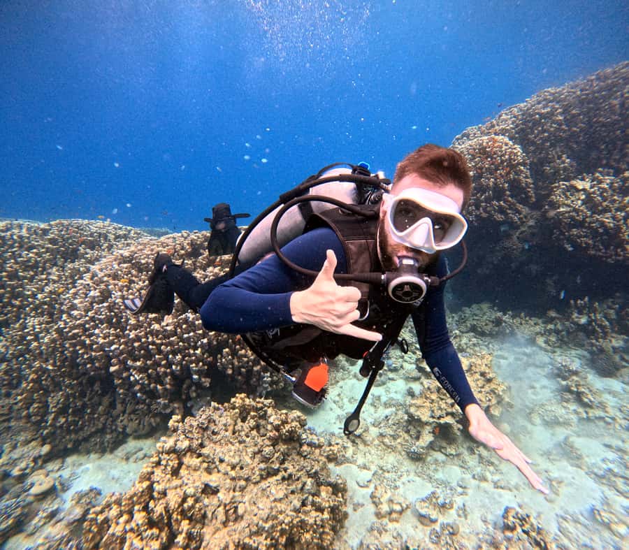 Aqaba: Private Red Sea Diving for Beginner or Experienced - Is the $50 price good value?