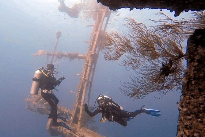 Aqaba Private Scuba Diving Activity with Pick Up - Why Aqaba is such a good place for scuba