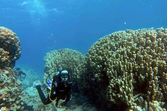 Aqaba Private Scuba Diving Activity with Pick Up - Getting comfortable with the equipment