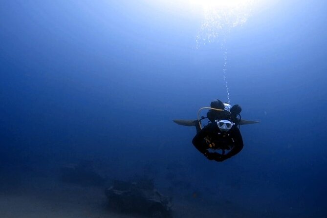 Aqaba Private Scuba Diving Activity with Pick Up - Coral gardens from Japanese Gardens to Seven Sisters