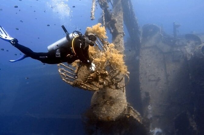 Aqaba Private Scuba Diving Activity with Pick Up - What the three-hour schedule really means