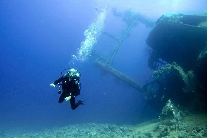 Aqaba Private Scuba Diving Activity with Pick Up - Guidance, safety, and the human side