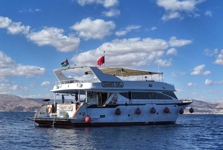 Aqaba: Red Sea Snorkeling Boat Trip with Buffet Lunch - What the snorkeling is really like